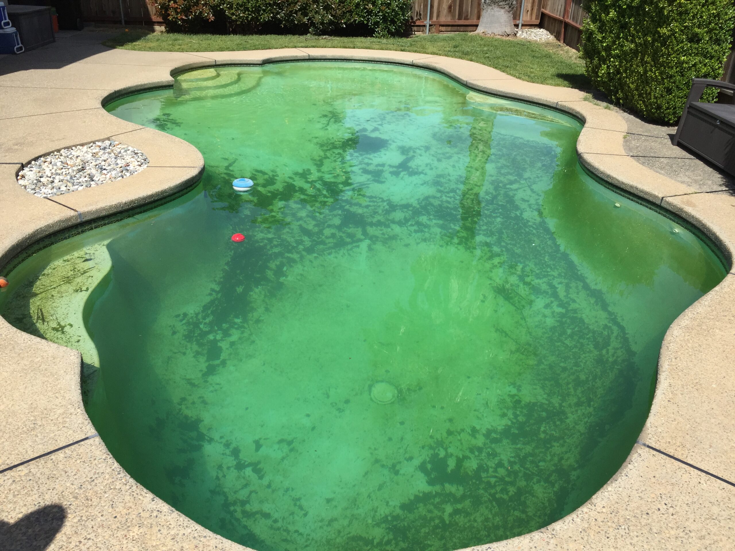 Green 2 Clean Pool Treatment Fort Worth