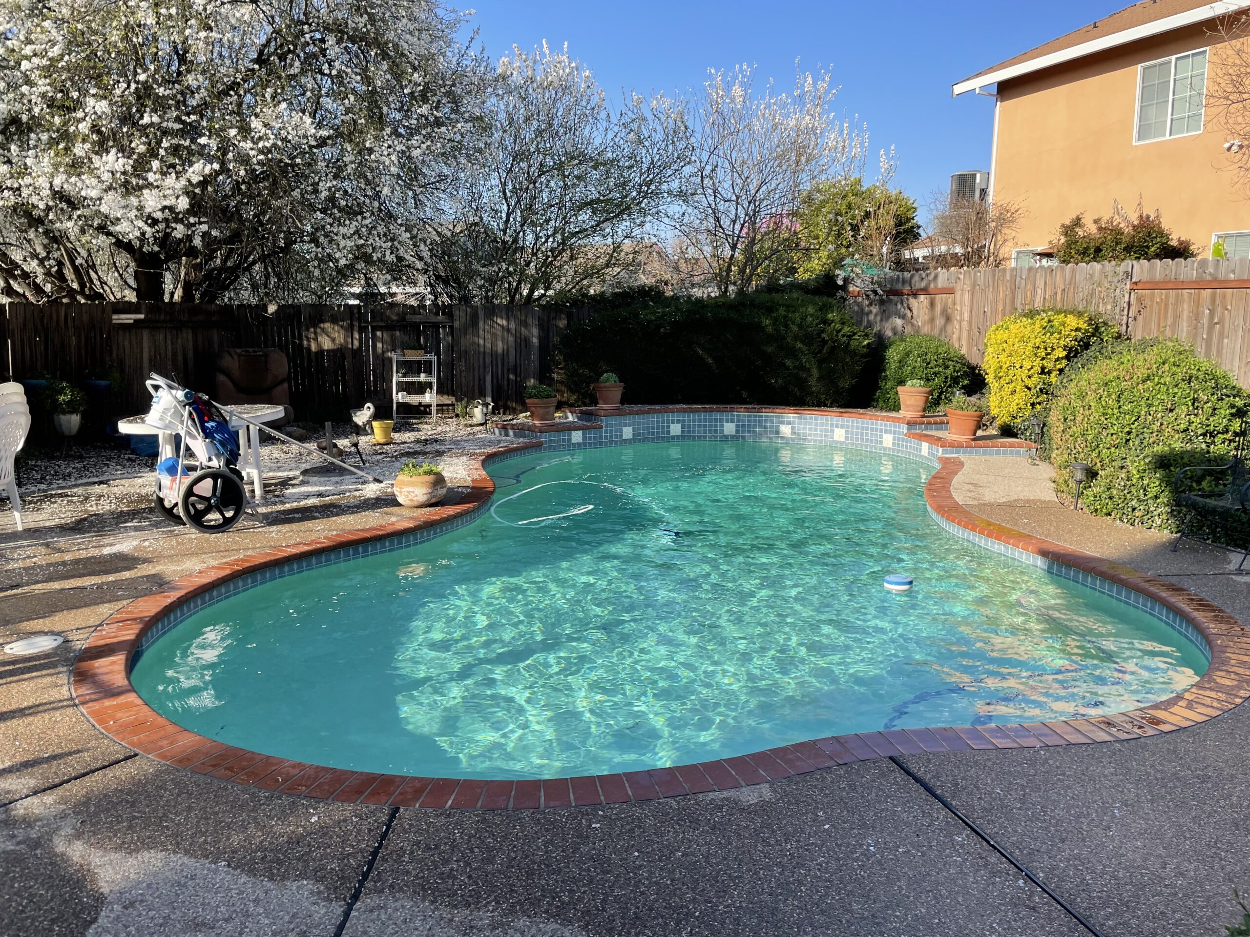 Pool Cleaning Service Fort Worth