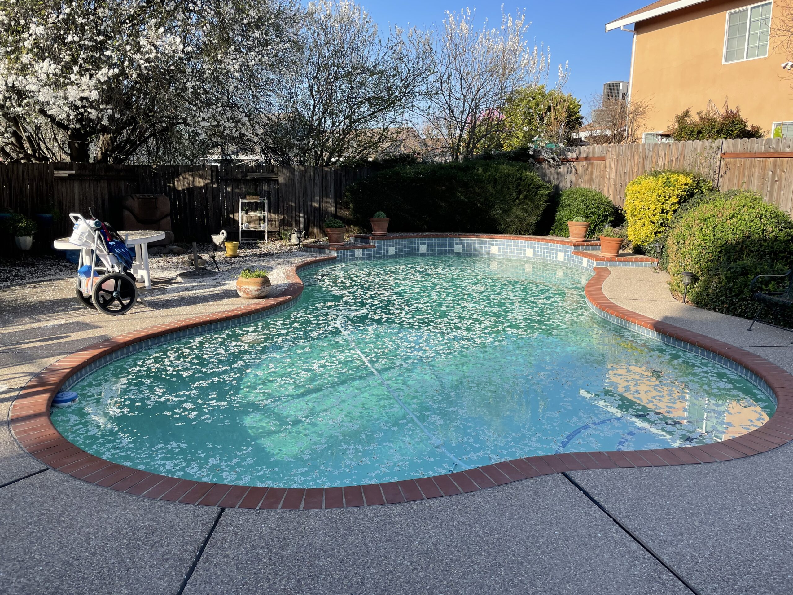 Weekly Pool Service Fort Worth - BEFORE